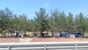 Tarps hung across ropes tied to trees stretched for miles along the highways - the only shelter for tens of thousands.